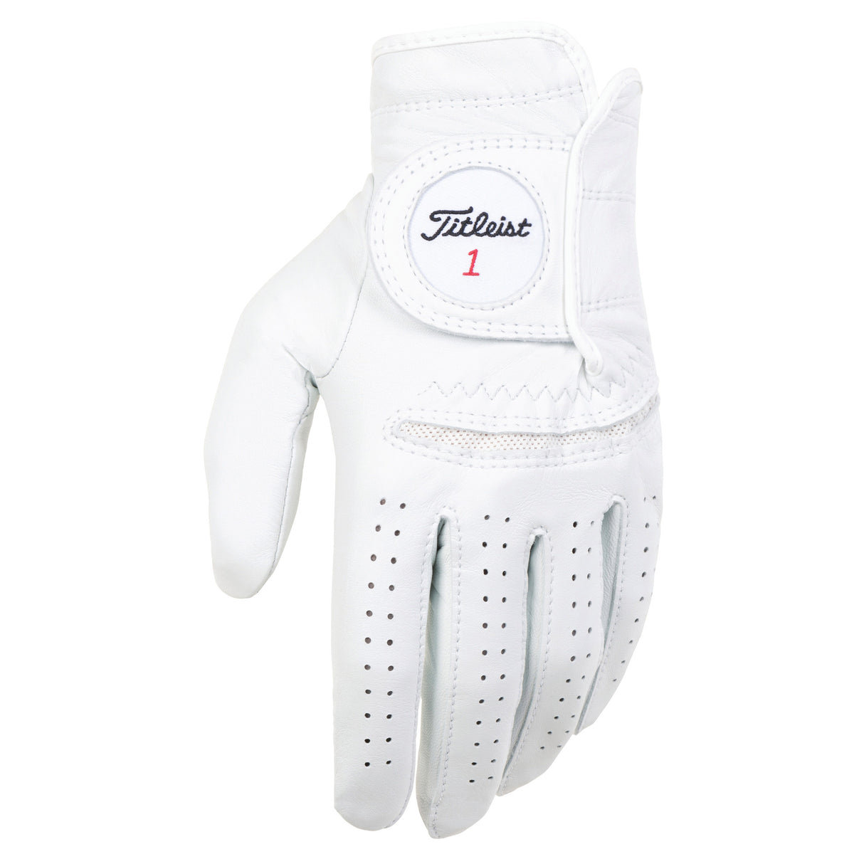 Titleist Perma Soft Leder Handschuh, Herren - Links getragen - Golflaedchen.de