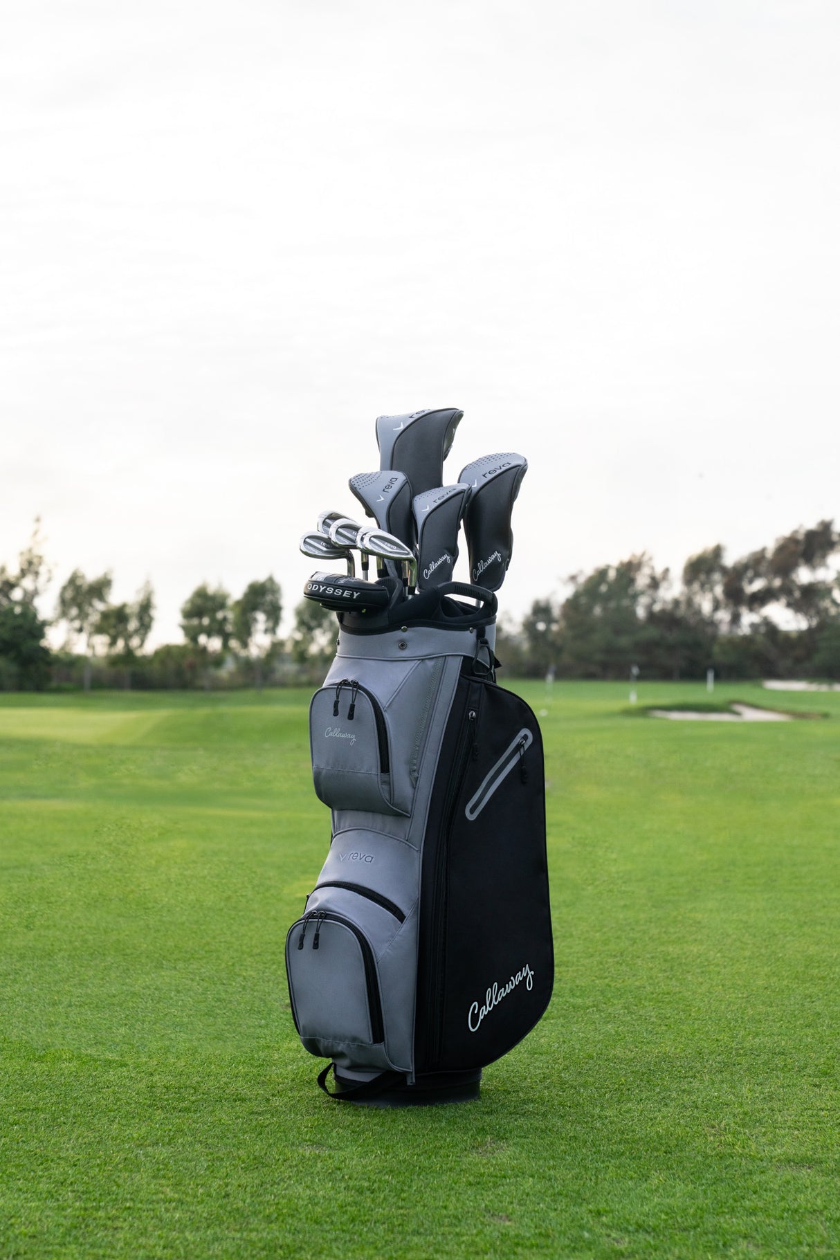 Callaway REVA 2026 Damen Komplettset / Golfset, Schwarz, Rechtshand - Golflaedchen.de